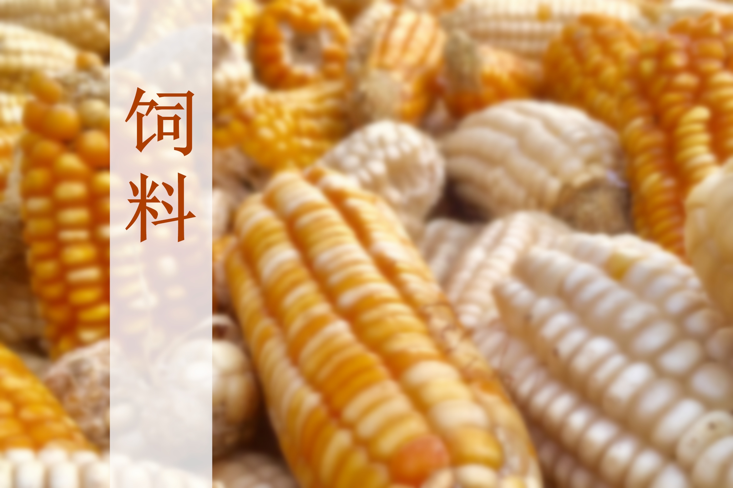 重磅发布|2024-2025年度中国饲料行业发展与投资分析报告